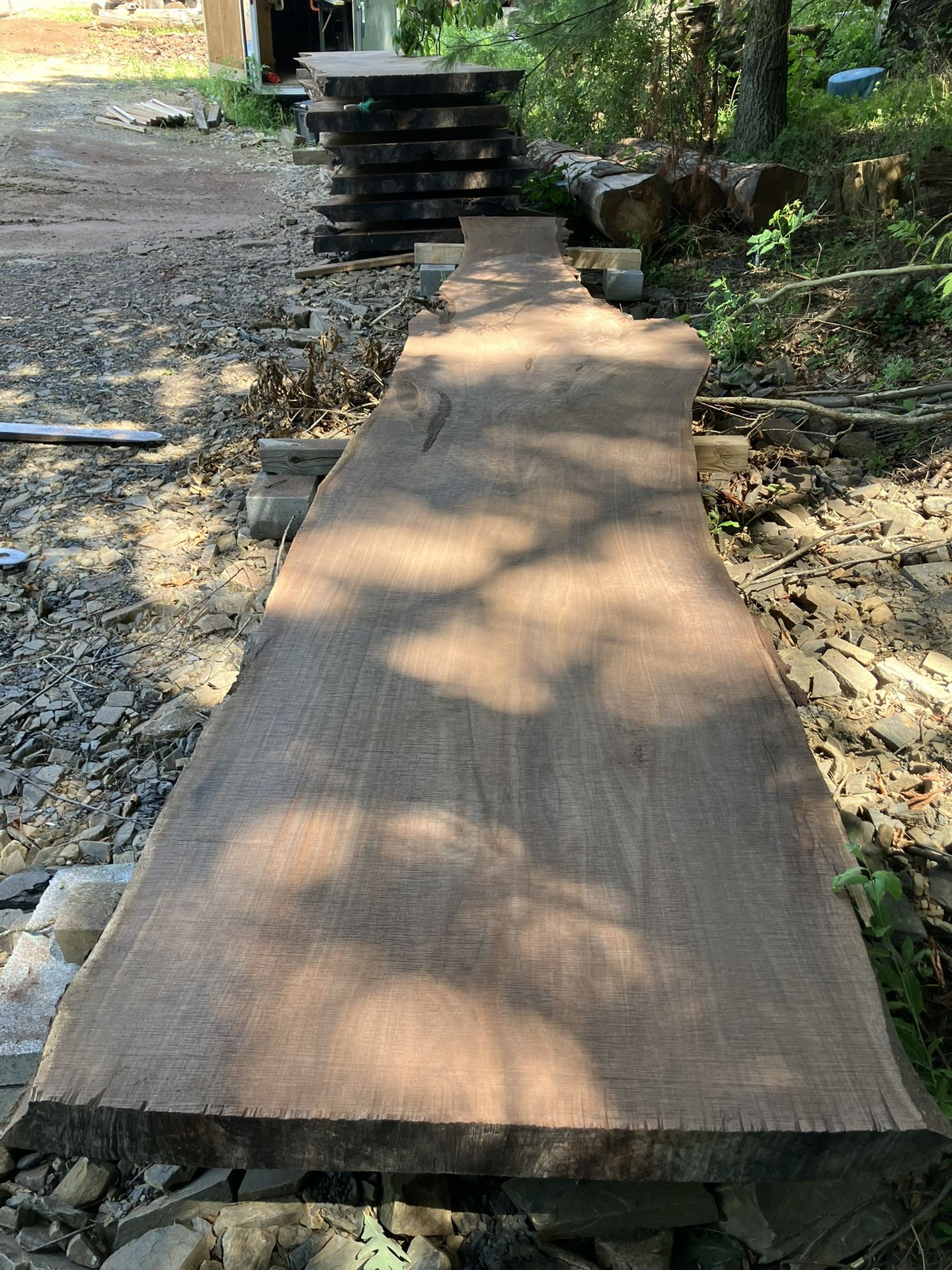 4” Thick Black Walnut Live Edge Slabs
