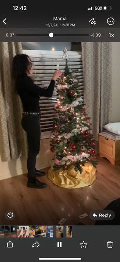 Christmas Tree X mass 