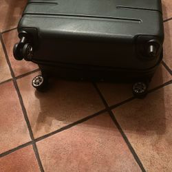 The Bag Lasts Anything - Luggage 
