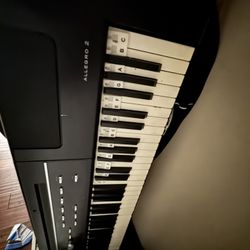 Semi-weighted Williams Digital Piano (keyboard) 