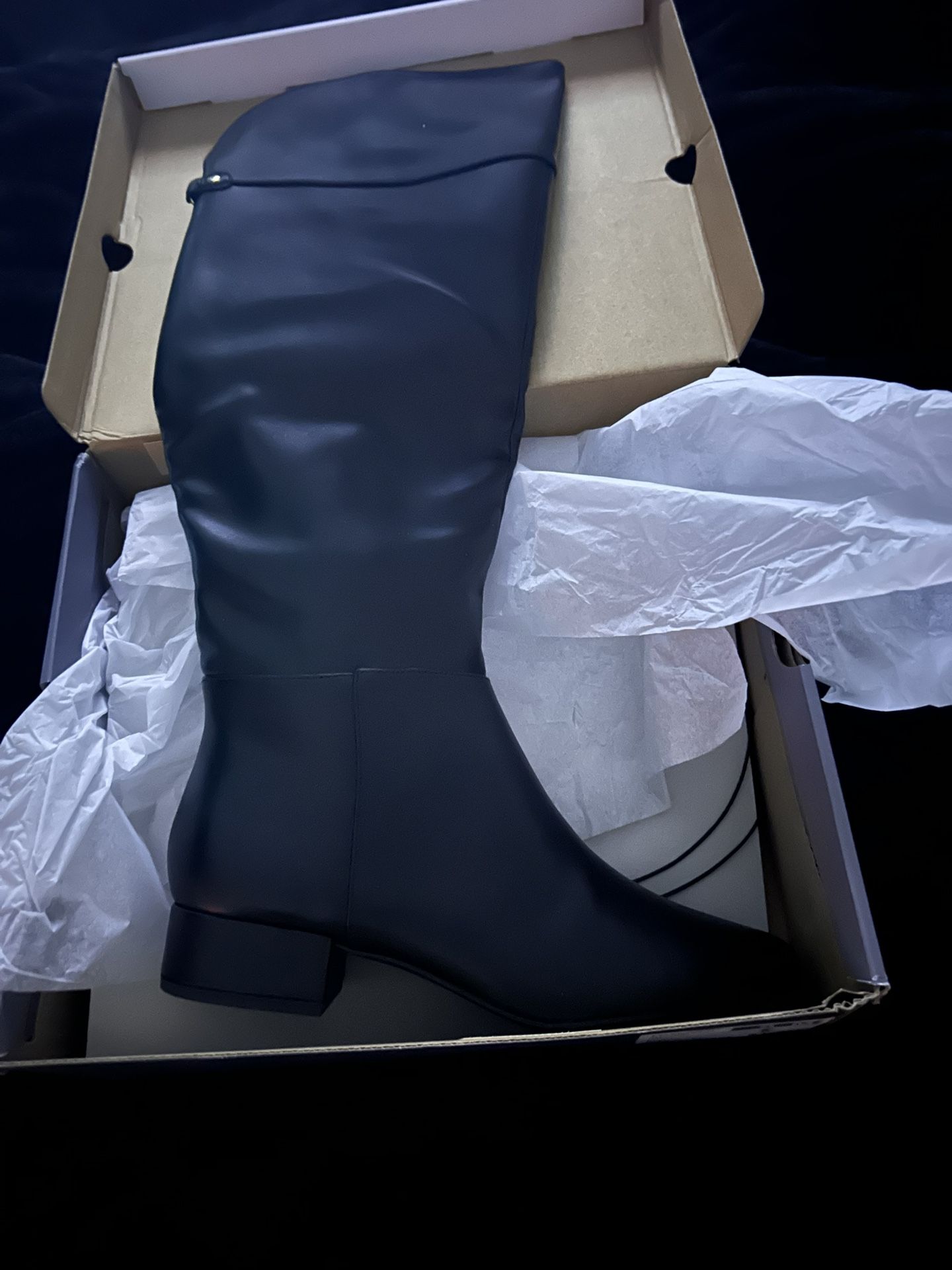 Liz Claiborne Boots Women’s 8