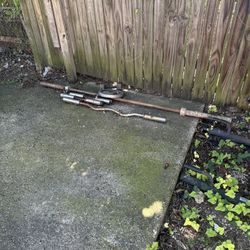 Curl Bars