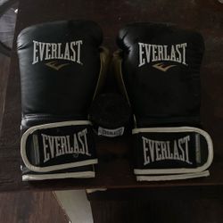 Everlast Boxing Gloves