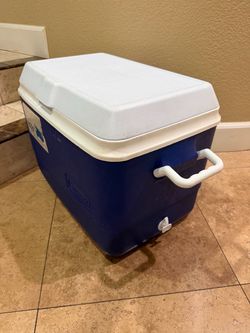 Rubbermaid Blue 48q Cooler