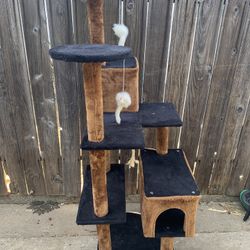 Cat Toy 