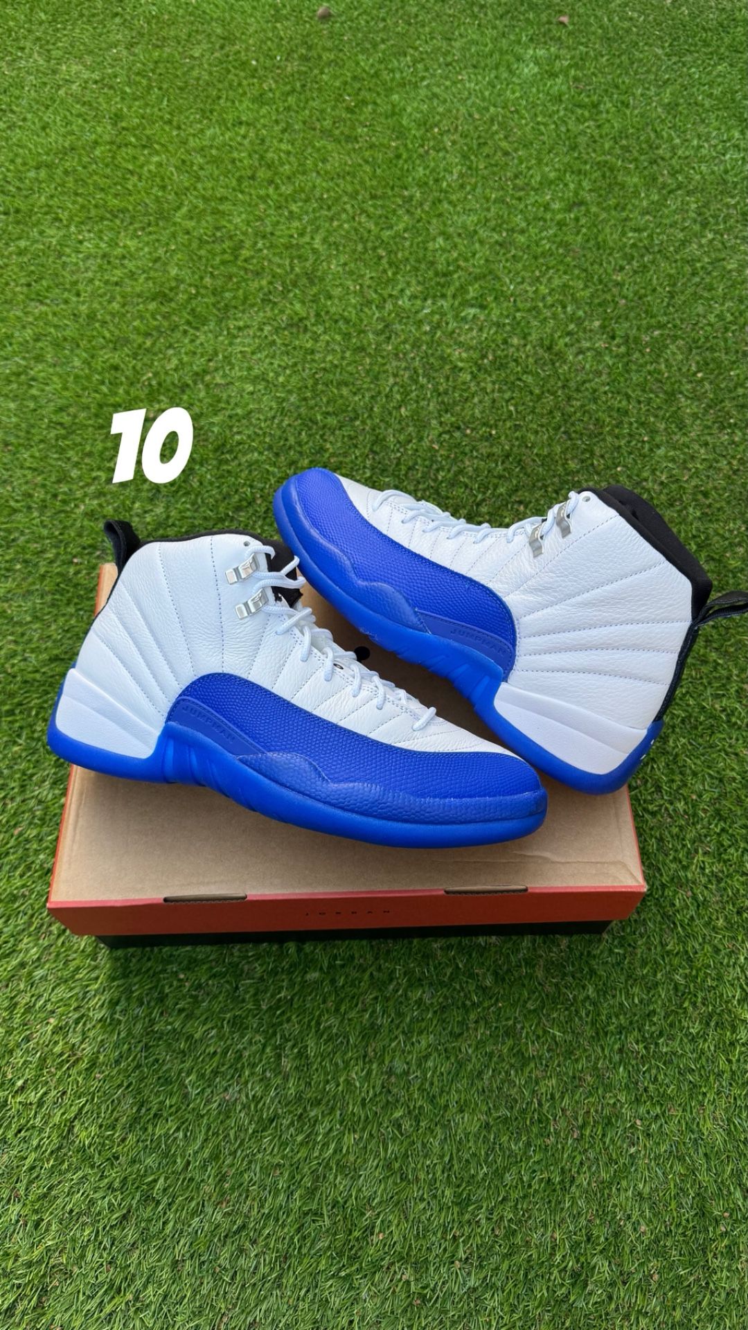 jordan 12 blueberry size 10