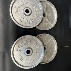 Weight Plates, Bench, And Curl Bar