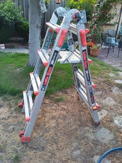 Little Giant Ladder