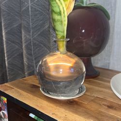 Round Globe Glass With Plant