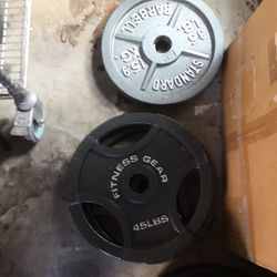 Pair Of 45 Pound Olympic Plates ( Weights)
