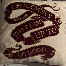 Harry Potter Pillow 
