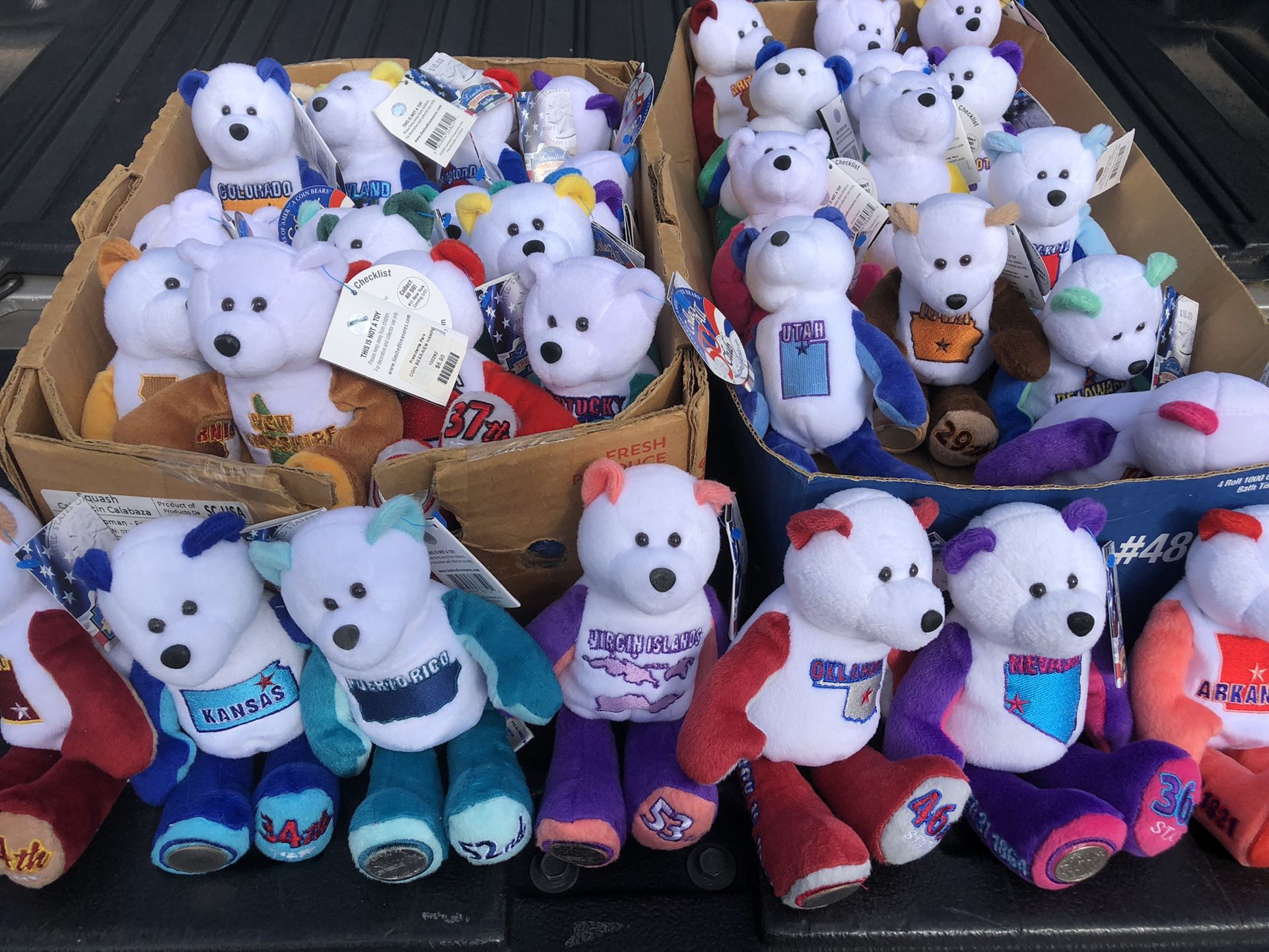 Statehood Quarter Bears
