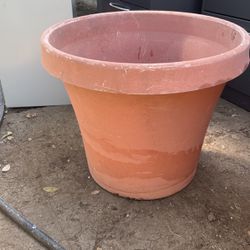 Pots For Plants