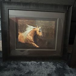 Horse Picture S