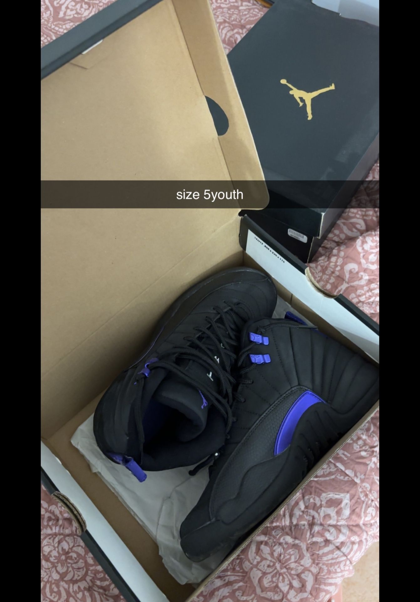 Air Jordan 12 Retro Dark Concord 