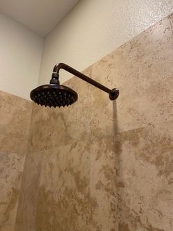 Delta Shower Head and Handle
