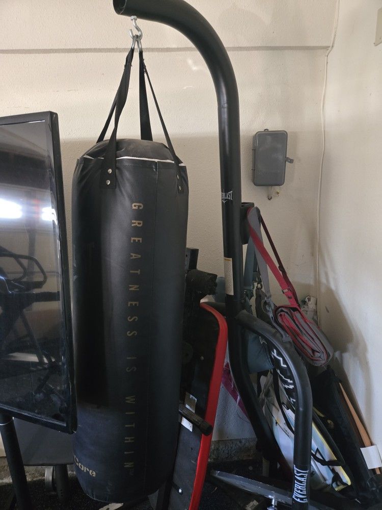 Everlast Dual 2-Station Heavy Bag Stand