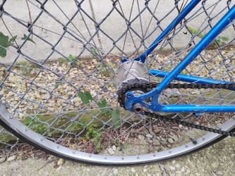Metallic blue fixed gear single speed road bike w bullhorn