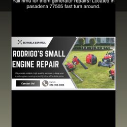 Generator Repair/ Small Engine Repair