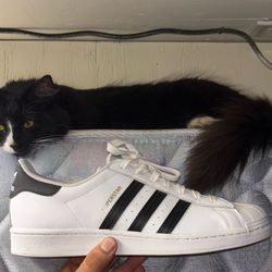 Adidas Superstar Size 11 Men’s 