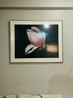 Large Framed Magnolia Wall Art