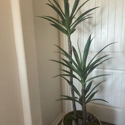 pretty fake plant! 