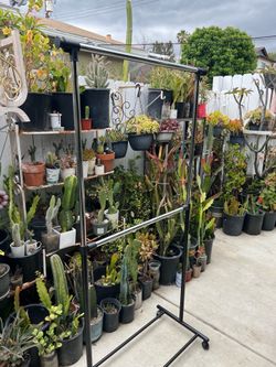 Clothes rack