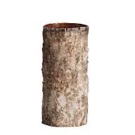 Birch bark glass Vases 6W X 16H