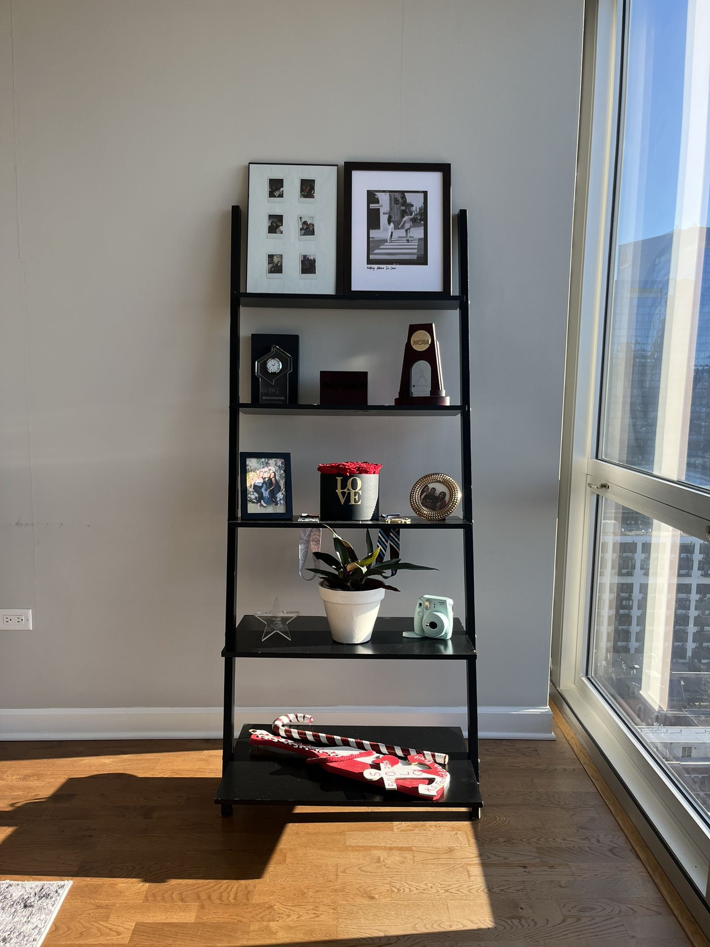 Black Leaning Ladder Shelf for Storage and Decor 