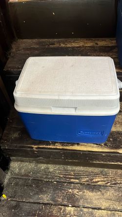 Rubber Maid Cooler Lunchbox $10