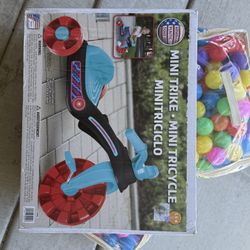 Toddler Mini Trike