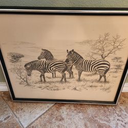 Vintage 1974 Framed Signed Zebra Framed Print Limited 236/600 Size 18 X 21"  