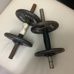 Pesas de 10 Libras