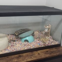 Used 40 Gallon Reptile Or Rodent Tank Cage