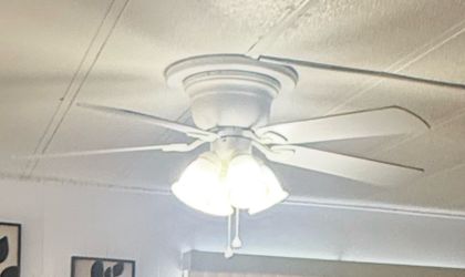Ceiling fan