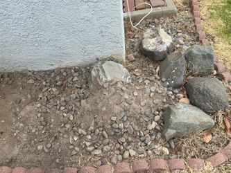 FREE rocks