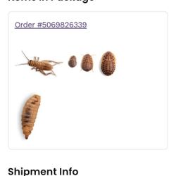 Reptial / Amphibian Food