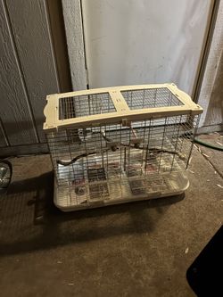 Bird cage with cockatiel / love bird food