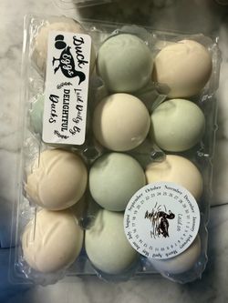 12 large duck eggs
