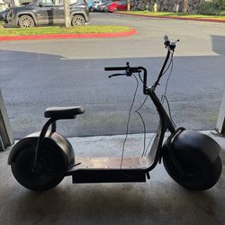 Fat tire scooter