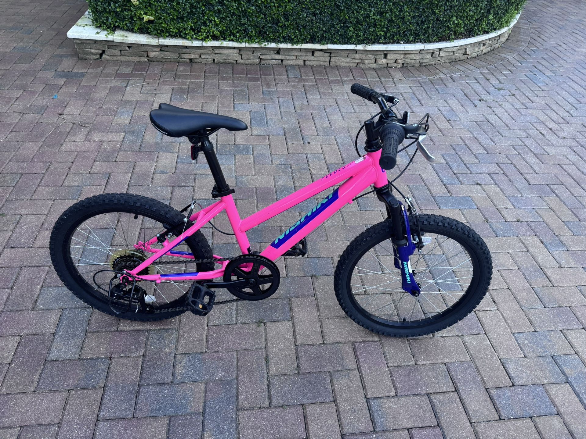 20 Inch Girl bike