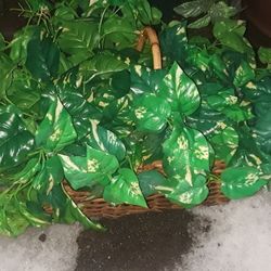 Fake Plant In A Basket