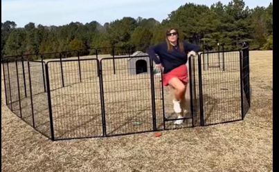 Brand new 16 pieces dog fence
