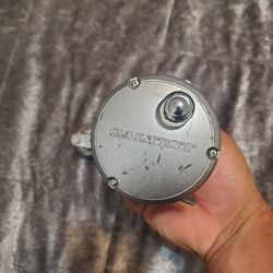 Saltist Reel