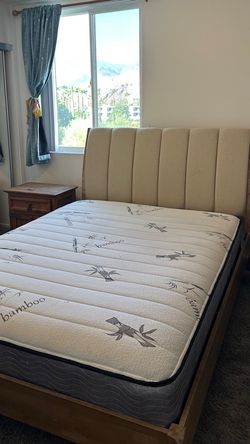 Modern Upholstered Queen Bed Frame
