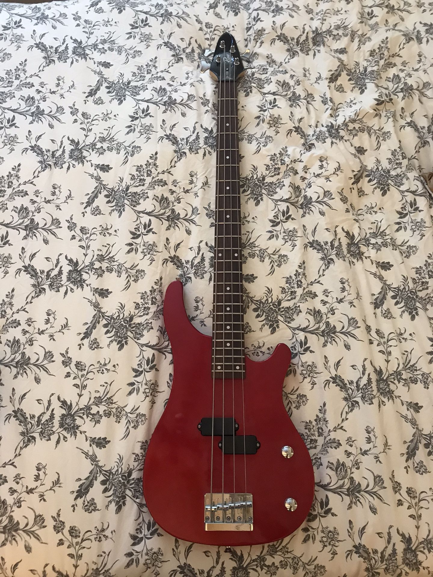 Rogue 4 String Bass Guitar