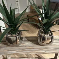 Artificial Plants