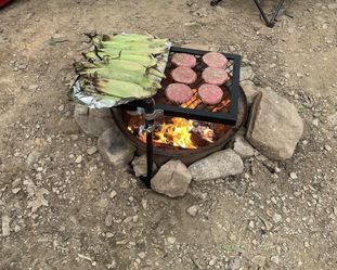 Swivel BBQ Grill For Firepit 