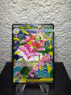 Pokemon Ascended Heroes