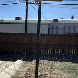 Lifetime Basketball Hoop